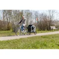 Vozík za bicykel, M: 71 x 95 x 85/138 cm, šedá/šalviová