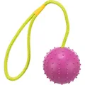 Ďalší obrázok produktu Vrhacia lopta hrboľatá na šnúre 7cm/30cm - TRIXIE