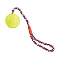 Ďalší obrázok produktu Vrhacia lopta z prírodnej tvrdej gumy 7/39 cm, na lane, HipHop