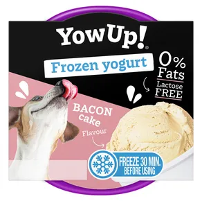 YOWUP Zmrzlinový jogurt s príchuťou slaniny 110 g