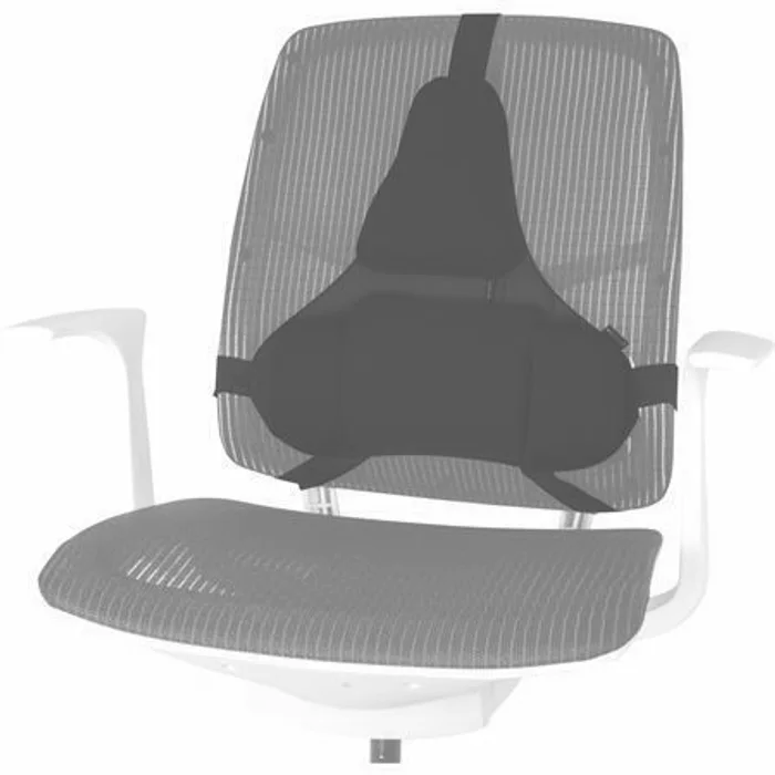 Hlavný obrázok produktu Zádová opěrka Profesional, opora beder, černá, plast, Fellowes