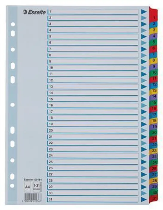 Hlavný obrázok produktu Zesílené kartonové rejstříky Esselte Mylar, A4, Mix barev