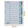 Zosilnené kartónové registre Esselte Mylar, A4, Mix farieb
