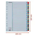 Zosilnené kartónové registre Esselte Mylar, A4, Mix farieb
