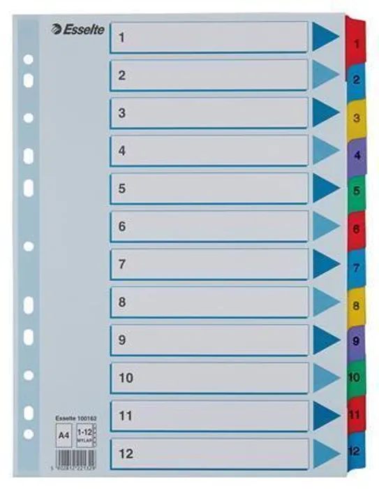 Hlavný obrázok produktu Zesílené kartonové rejstříky Esselte Mylar, A4, Mix barev