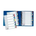 Ďalší obrázok produktu Zosilnené kartónové rozlišovače Esselte Mylar, A4, Mix farieb