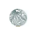 Zrkadlo Monstera