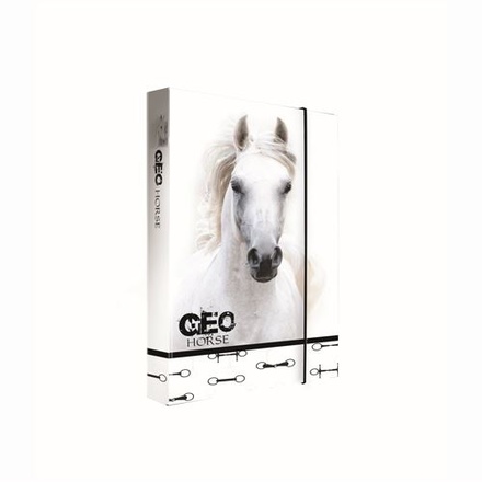 Papírenské zboží - Box na sešity A4 Jumbo GEO WILD Horse