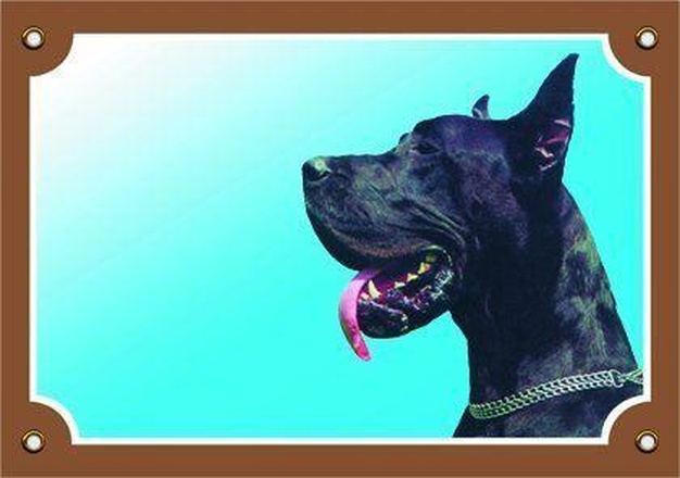 Papírenské zboží - Barevná cedulka Pozor pes, Doga černá 