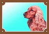 Papírenské zboží - Farebná ceduľka Pozor pes, Anglický koker zlatý