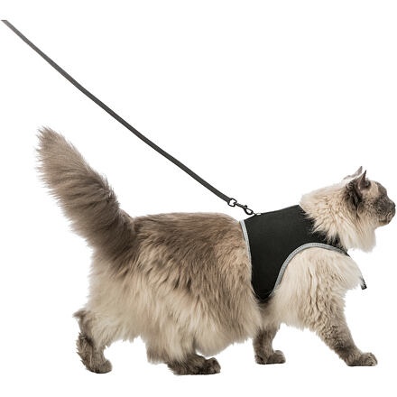 Papírenské zboží - Měkký postroj s vodítkem pro kočku XL 36-54cm / 1,20 m černý 