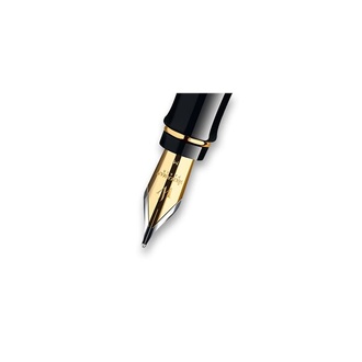 Papírenské zboží - Náhradní hrot Waterman Expert GT hrot B
