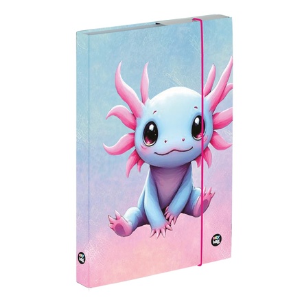 Papírenské zboží - Box na sešity A5 Axolotl