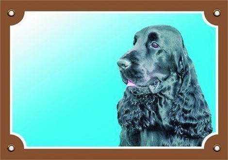 Papírenské zboží - Barevná cedulka Pozor pes, Anglický kokr černý 