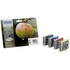Papírenské zboží - Epson originál ink C13T12954012, T1295, CMYK, 32,2ml, Epson Stylus SX420W, 425W, Stylus Office BX305F, 320FW