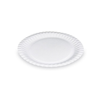 Papírenské zboží - Papírové talíře mělké průměr 23 cm [100 ks]
