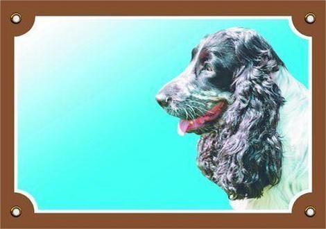 Papírenské zboží - Barevná cedulka Pozor pes, Anglický kokr čb 