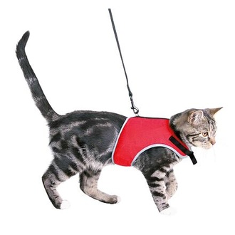 Papírenské zboží - XCat postroj vestička pro kočky 24-42cm/1,20m 