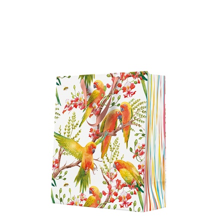Papírenské zboží - Dárková taška velká - Exotic Birds 26,5x13x33,5 cm