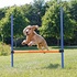 Papírenské zboží - AGILITY prekážka, 3 tyče 129x115cm