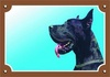 Papírenské zboží - Farebná ceduľka Pozor pes, Doga čierna