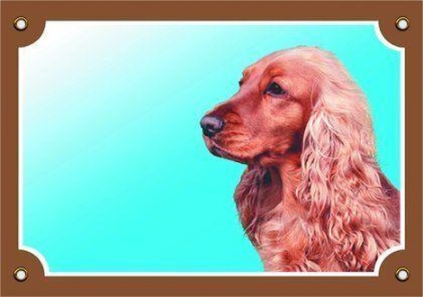 Papírenské zboží - Barevná cedulka Pozor pes, Anglický kokr zlatý 