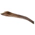 Papírenské zboží - Papah wood - palmový list 50-65 cm pre plazy na lezenie (6ks)