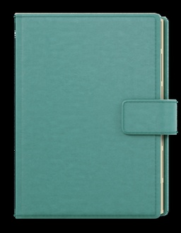 Papírenské zboží - Denní diář - Ctirad s výsekem - Elite - A5 - tyrkysová