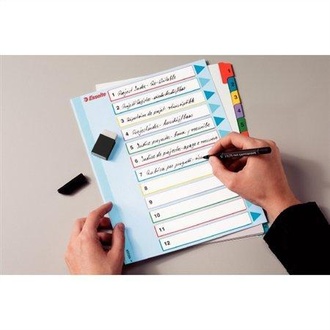 Papírenské zboží - Kartonové rejstříky Esselte Mylar s přepisovatelným předním listem, A4 Maxi, Mix barev