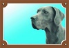 Papírenské zboží - Farebná ceduľka Pozor pes, Doga modrá
