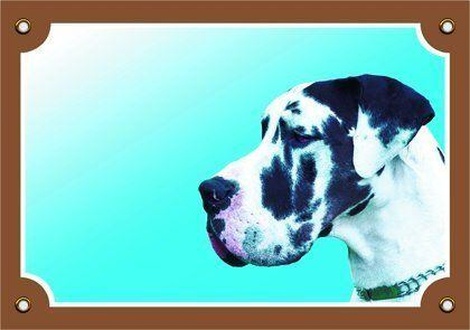 Papírenské zboží - Barevná cedulka Pozor pes, Doga harlequin 