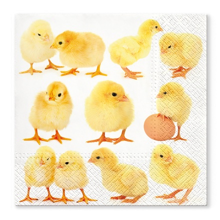 Papírenské zboží - Ubrousky TaT 33x33 cm Little Chicken