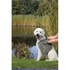 Papírenské zboží - Uterák pre psov s vreckami, mikrovlákno, 78 x 32 cm, sivá