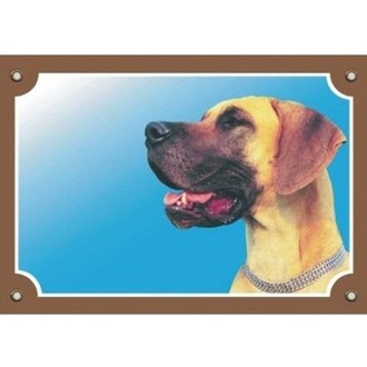 Papírenské zboží - Barevná cedulka Pozor pes, Doga žlutá 