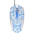 Papírenské zboží - E-blue Myš Cobra, 2500DPI, optická, 6tl., drôtová USB, bielo-modrá, herná, e-box