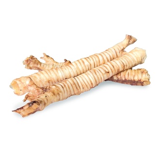 Papírenské zboží - Vepřová průdušnice - trachea 1 ks (cca 27-30 cm)