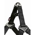 Papírenské zboží - Postroj PREMIUM - čierny XS-S: hruď: 30-40cm/10mm