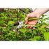Papírenské zboží - Verto nožnice na rastliny a kríky 15G201, 10mm