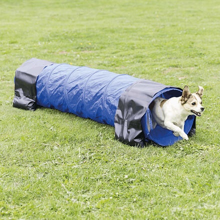 Papírenské zboží - Agility tunel - malý pes, štěně, 40cm/2m - modrý 