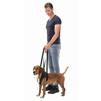 Papírenské zboží - Podpůrná pomůcka k chůzi L-XL 75-85 cm černá 