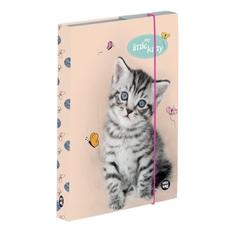 Papírenské zboží - Box na sešity A5 kočka