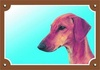 Papírenské zboží - Farebná ceduľka Pozor pes, Azavak