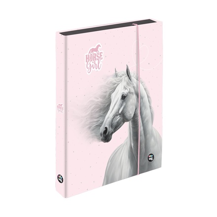 Papírenské zboží - Box na sešity A5 Jumbo kůň romantic