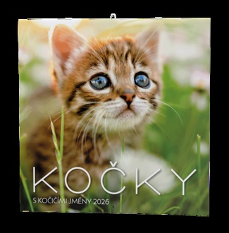 Papírenské zboží - Nástěnný kalendář - Kočky